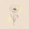 Image 007