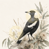 Australian Magpie Portrait