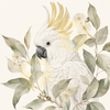Cockatoo Portrait