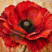 Scarlet Poppy