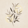 Delicate Olive Branch